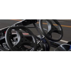 65km/H Family Double Seater Go Kart