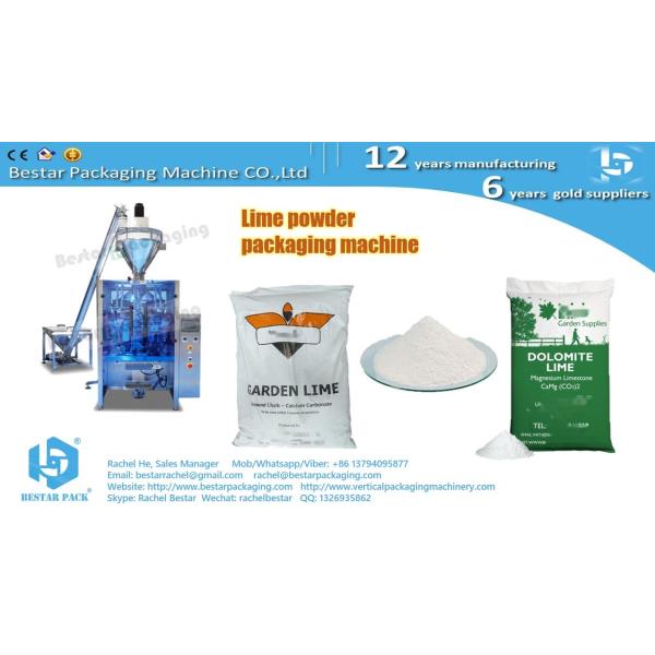 Buy Automatic packing machine for lime powder 500-2000g pouch PE film BSTV-450DZ at wholesale prices