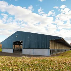 Weatherproof Prefabricated Steel Frame Farm Building Poultry House Easy Install