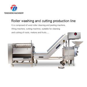 Roller washing and cutting production line Fruit Vegetable FOOD processing