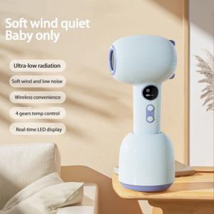 Customizable Cordless Hair Dryer with Lable Customization and Color Options