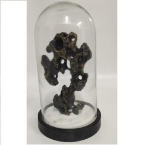 ODM Coral Decorative Art Craft