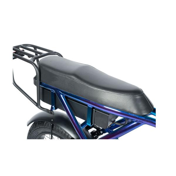 Customized Mountain Electric Bike with Torque 30-50 Nm and 48V Voltage Beach Bikes Cruisers