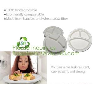 Biodegradable, Sugar Cane, Sugarcane Bamboo Pulp, Bento Box, Bagasse Food
