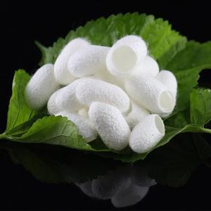 Hydrolyzed Silk Amino Acids Raw Material White Powder Silk Peptide