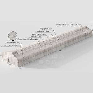 Baolida Sawtooth Greenhouse Cross Roof Agricultural Greenhouse Serre Agricole