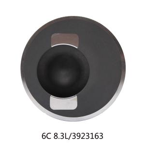 Fit Cummins 6C 8.3L Piston 3923163 114mm Engine Piston