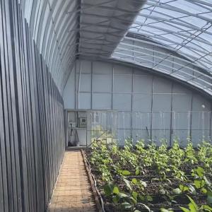Commercial Aquaponics Sunlight Greenhouse for Customer Requirements JX-A00223