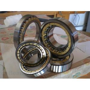 Specialize GCR15 Big Cylindrical Roller Bearing NNU4148 Wear Resistant