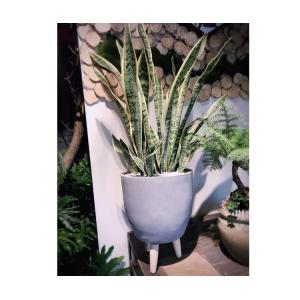 Fiber Clay Pots, outdoor pots, garden pots FR03