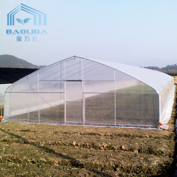 Buy 200 Micro PE Film Tunnel Plastic Single Span Greenhouse For Agriculture Plants Growing at wholesale prices
