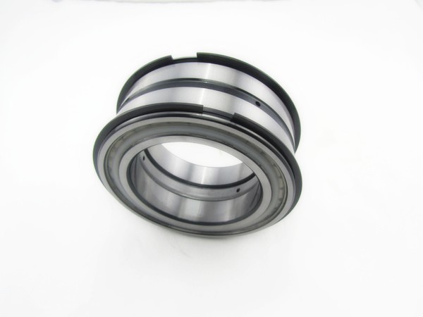 Buy Nylon Cylindrical Roller Bearing SL045009PP Dimention 45x75x39MM at wholesale prices