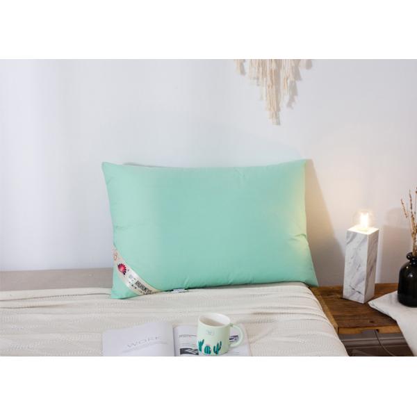 Buy Anti Static Mite Proof Cotton Down Pillows at wholesale prices