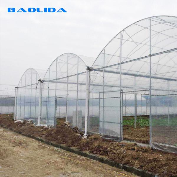 Buy Inner Shading System Multi Arch High Tunnel Greenhouse Clear Multi Span Greenhouse at wholesale prices