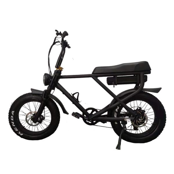 Removable Battery Full Suspension 1000W Electric Fat Bike with Lithium Power Supply