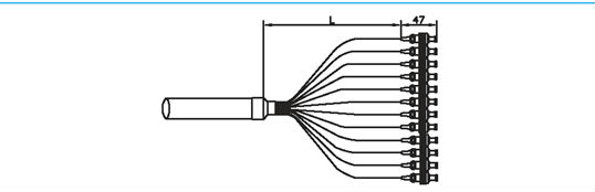 Bunch Fan-out Pigtail 12 Color Bunch Fiber Optic FC Pigtail