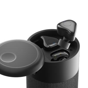 600mAh Dynamic Wireless Bluetooth Speaker Earbuds BT5.1 Waterproof