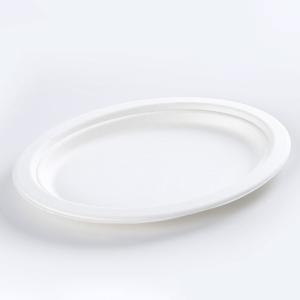 Biodegradable Food Container 10'*8' Oval Bagasse Plates