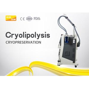 Multi Functional Cryolipolysis Slimming Machine With Two Treatment Head