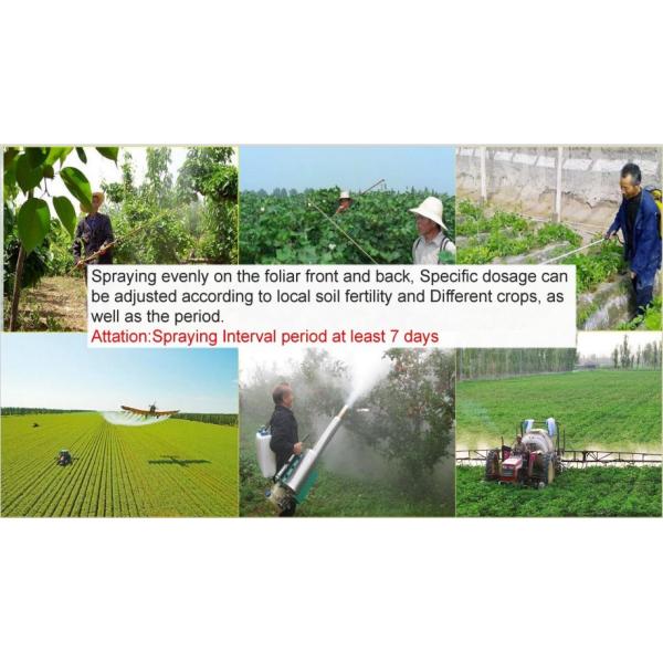 Soil Conditioner Biological Organic Fertilizer Chelated Humic Acid