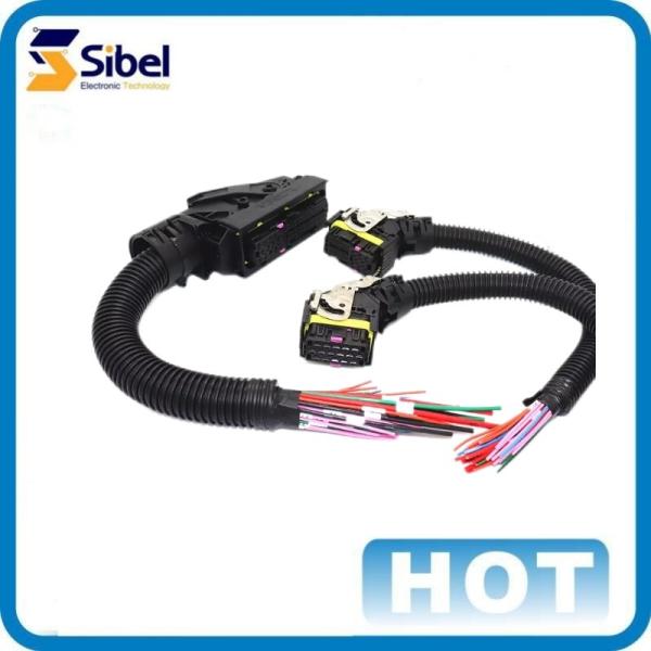 Custom Automotive electrical wire harness/wiring harness engine with high