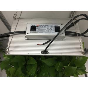 Aeroponic Farming 210lm/W 3000K Quantum Board Led Grow Lights
