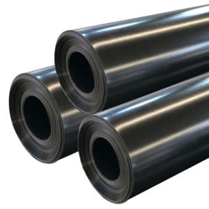 Modern Design Anti-Seepage Geomembrane Fish Pond Liner 0.5mm 1mm with Tear