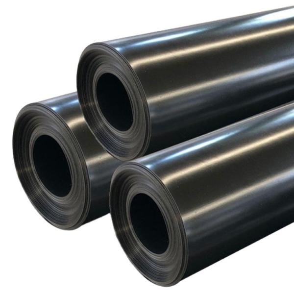 Modern Design Anti-Seepage Geomembrane Fish Pond Liner 0.5mm 1mm with Tear