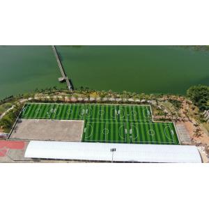 Rubber Granules / Quartz Sand Artifical Football Pitches Weaving Technique Dtex