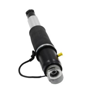 23290661 Rear Car Shock Absorber With Metal Construction