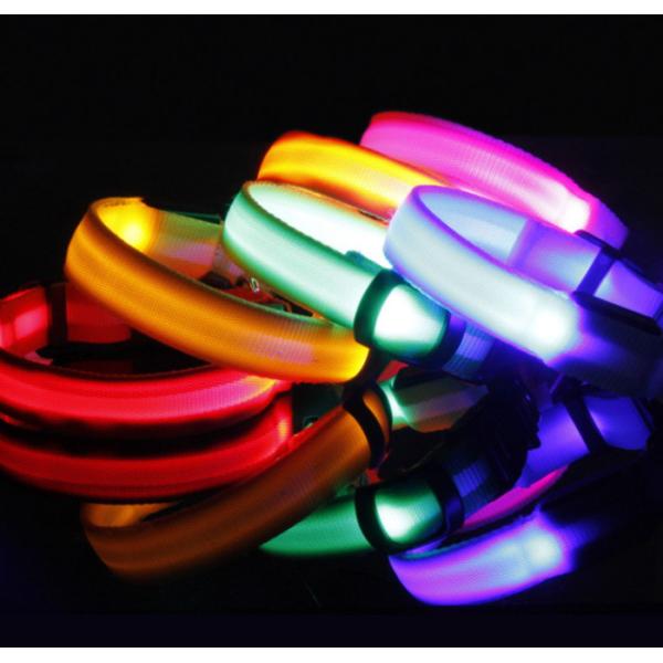 Abs Usb Led Dog Collar Lead Collar For Dogs with Water Resistant Flashing Light