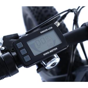 48V 750W Mountain E Bike with Tektro Hydraulic Brake system