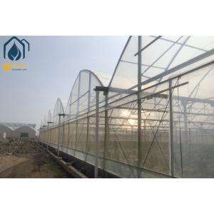 Multi Span Agriculture Greenhouse For Sustainable Crop Cultivation