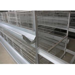 Commercial H Type Layer Chicken Cage Save Energy Consumption Low Pollution