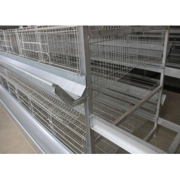 Buy Commercial H Type Layer Chicken Cage Save Energy Consumption Low Pollution at wholesale prices