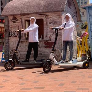 China 20ah Lithium 8h Chargin Electric E Scooter Treadmill Smart Balancing on sale