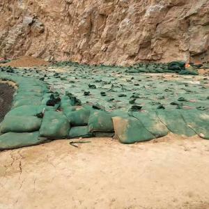 Quality Seawall Geotextile Geobags Polyester Non Woven Geotube Eco Friendly for sale