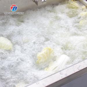 85KG Fruit and vegetable cleaning equipment Spinach washing machine small