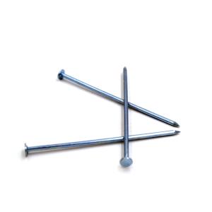 Blue Coated Concrete Nail