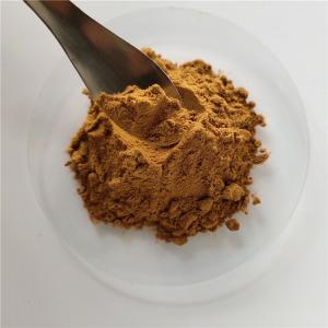 wholesale Reed Rhizome Extract/reed with best price