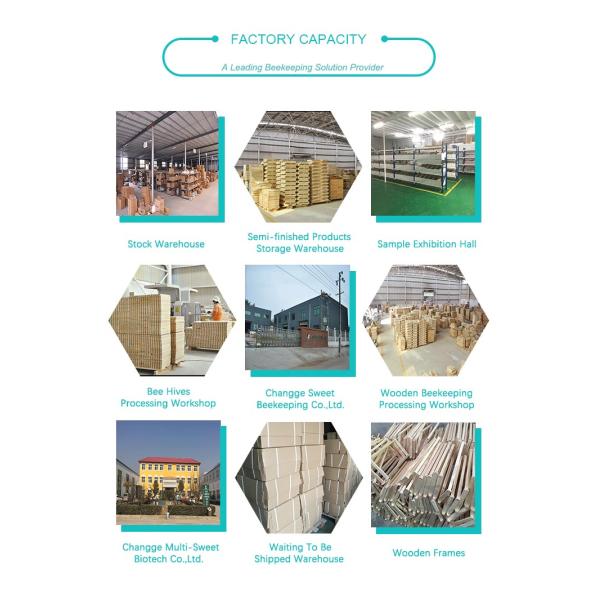 Stainless Steel Knives J Hook Hive Tool OEM Beekeeping Tools