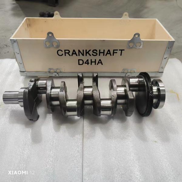 D4HA 23110-2F310 6F036-2FH00 Engine Crankshaft