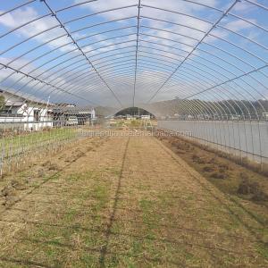 Stable Structure Agricultural and Commercial Tunnel Greenhouse