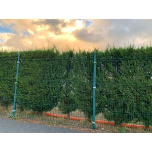 Security Welded Wire Mesh Fence Corrosion Coating 3d Panel