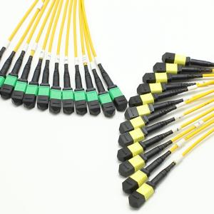 1M MPO Fanout Cable