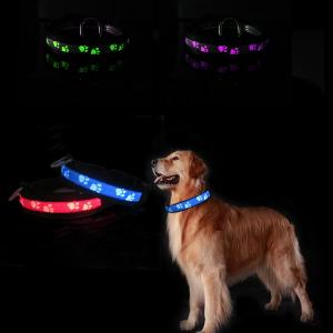 Custom Nylon Led Light Up Dog Collar / Flashing Dog Collar Safety Dog Led Light