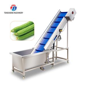 Lifting and conveying of fruit and vegetable pre-foaming materials for