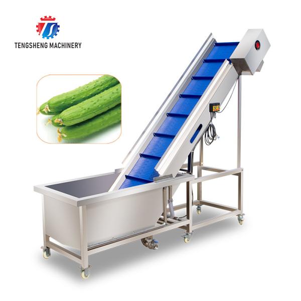 Lifting and conveying of fruit and vegetable pre-foaming materials for