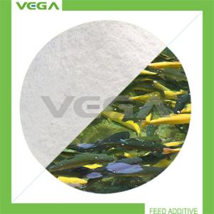 Quality Florfenicol 20% China Manufacturer with GMP for sale