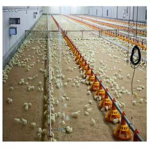 Automatic Steel Structure Peb Customized Poultry Chicken Farming Shed